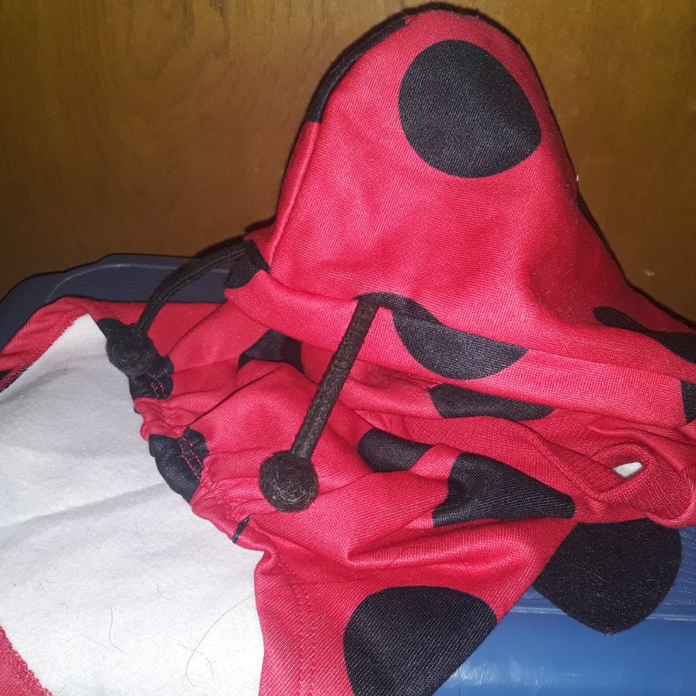 Ladybug Costume For Dogs - Picture 2 of 3